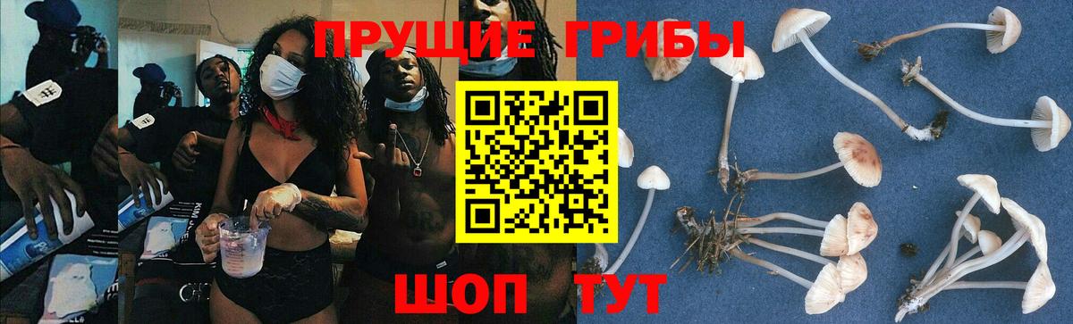 купить  цена  Галлюциногенные грибы мухоморы  Златоуст  Вход с VPN  Галлюциногенные грибы мухоморы 